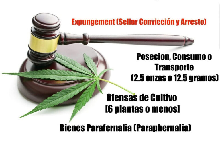 88CEA1DA 6029 4E77 A168 B881005D51C1 768x522